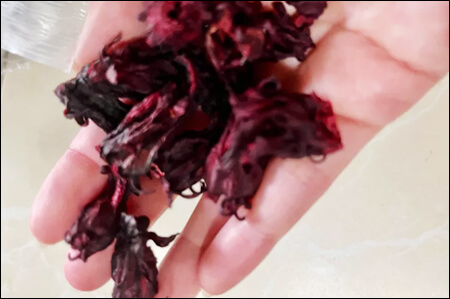 말린 히비스커스 꽃잎을 손으로 만지고 있는 모습