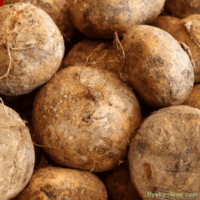 당뇨에 좋은 슈퍼푸드 히카마