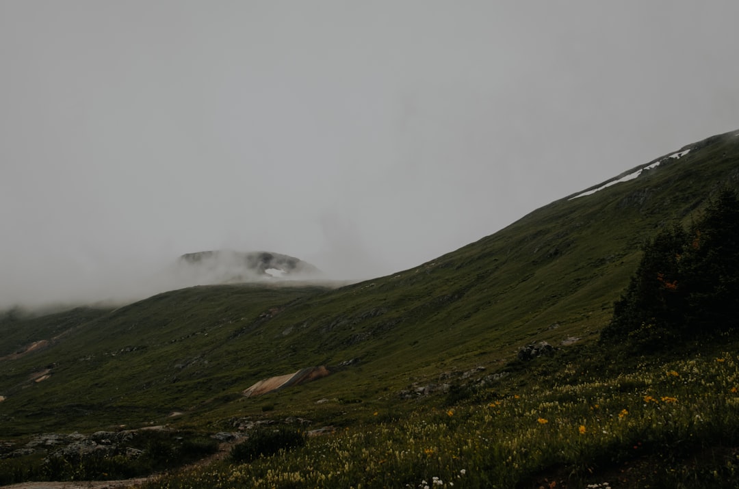Hillside