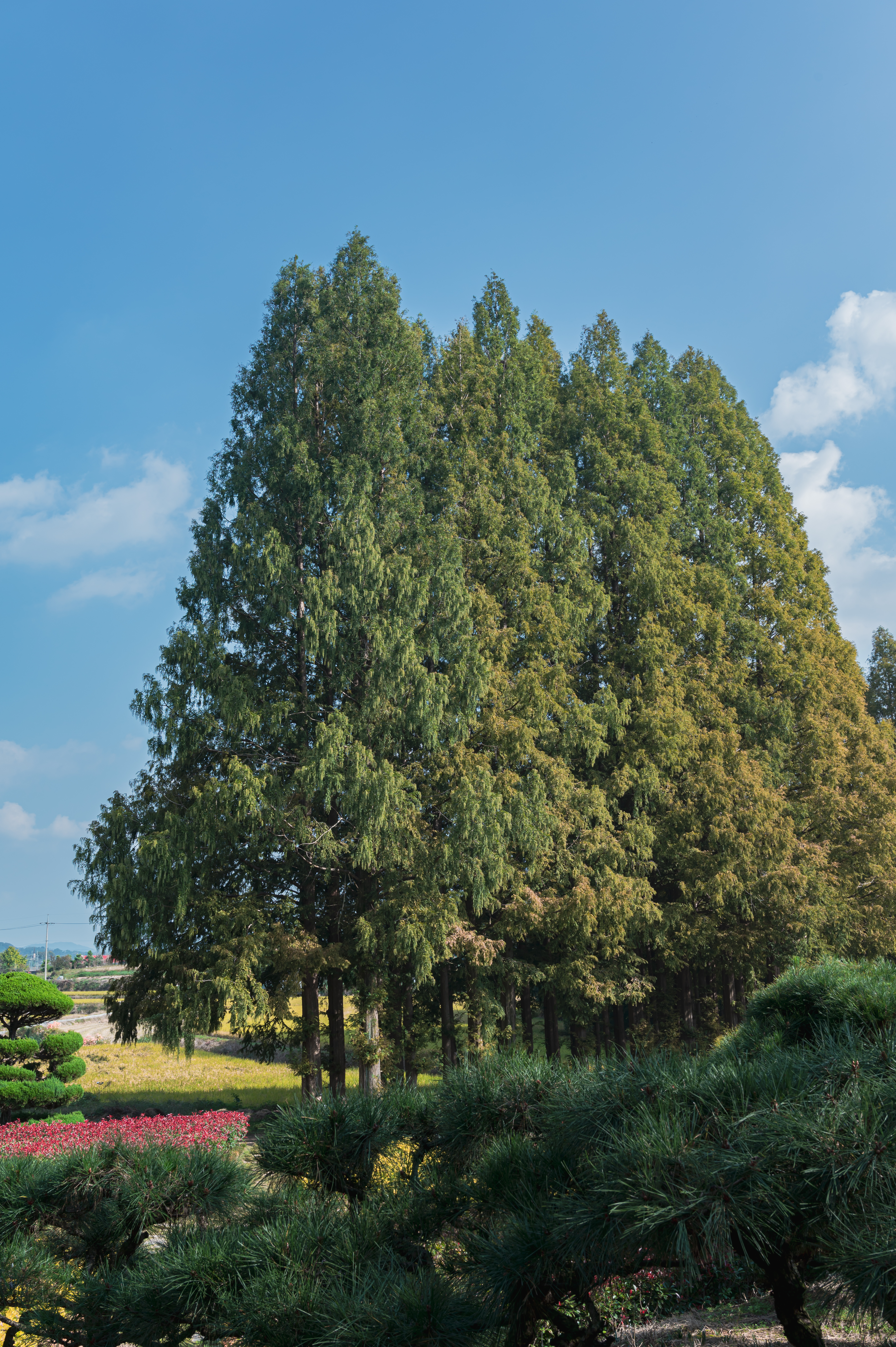 ์๊ฐํ ์ ์