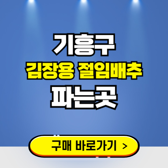 기흥구 절임배추 사전예약 구입하는곳 ❘ 김장배추 파는곳 가격보기