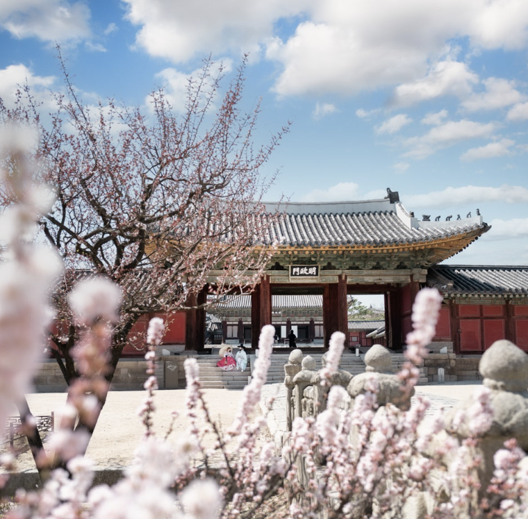 창경궁, 창덕궁