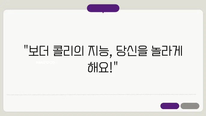 천재의 해방 : 보더 콜리 강아지들의 놀라운 짂발