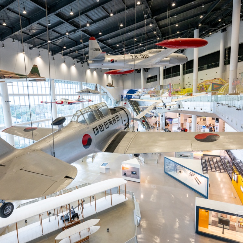 제주도 , 어린이날 체험 베스트 5 완벽 가이드 관련 이미지