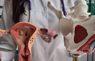 난소암 초기증상 낭종 물혹 난소암 3기 생존율 검사 방법