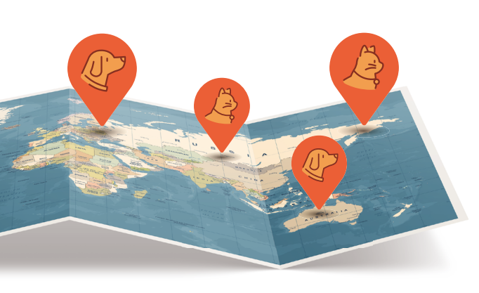 반려동물해외여행