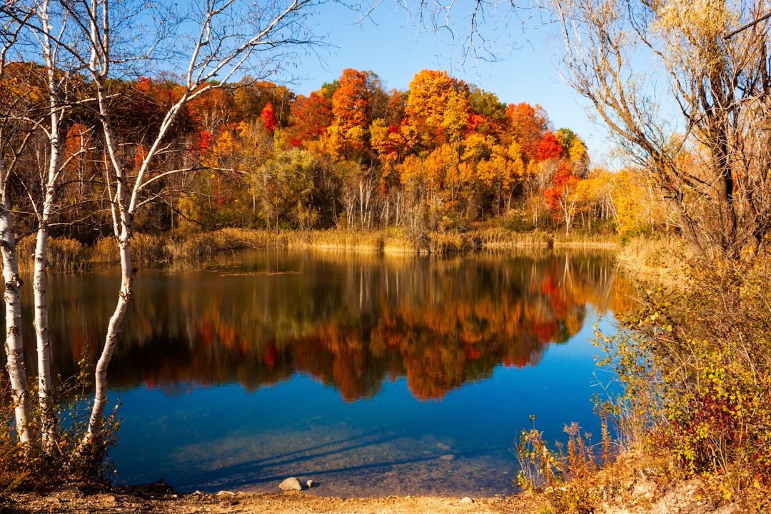 Seasons
