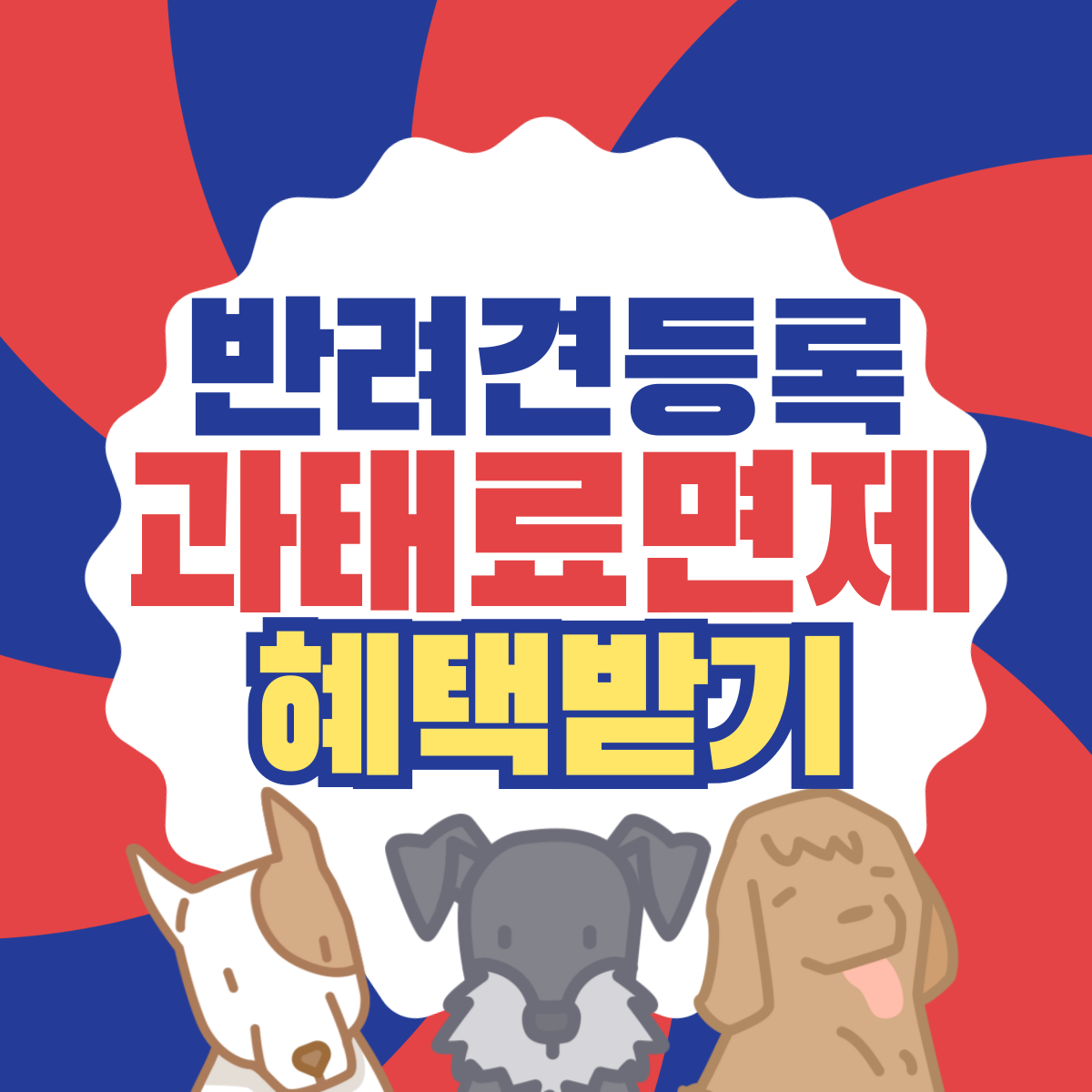 반려견 등록 비용 과태료 면제 혜택 받기