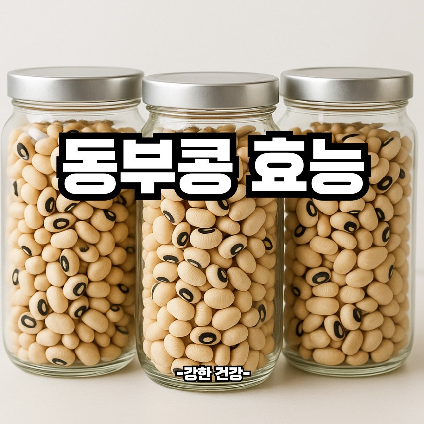 동부콩 효능