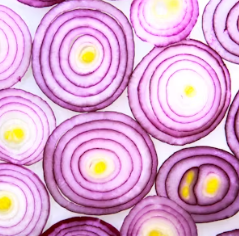 고지혈증에 좋은 음식 나쁜 음식