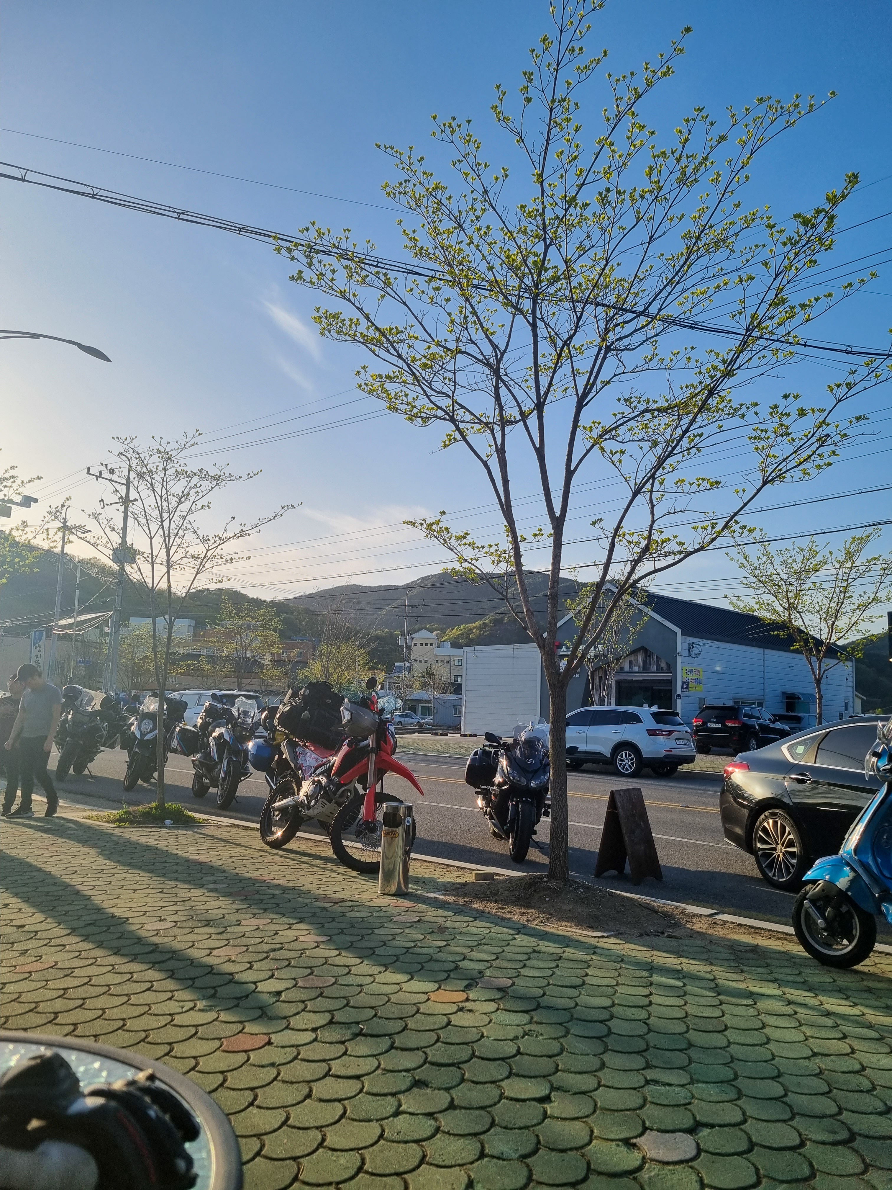 도도이꾸
