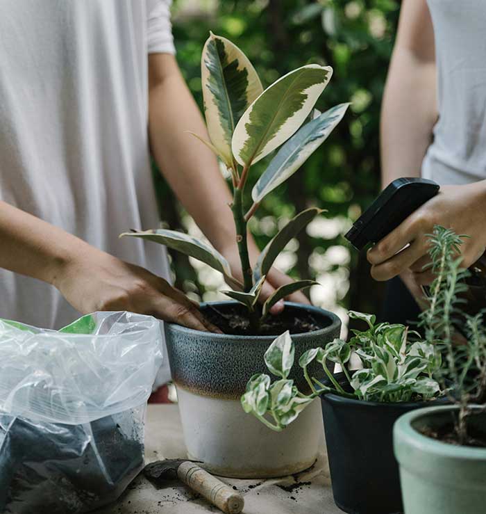 치유농업사원예치료사