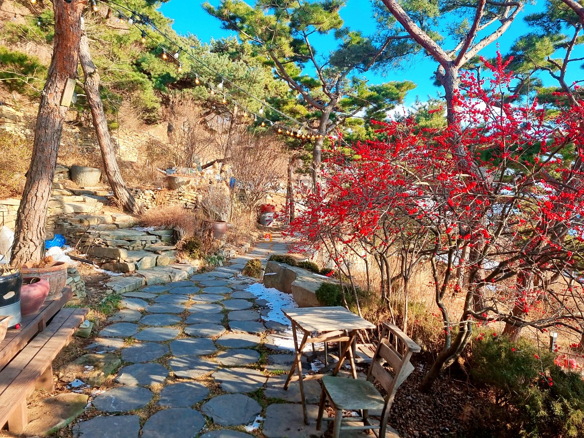 강화도 너머 석모도 노을이 예쁜 탁 트인 오션뷰 카페 '순간의순간': 비건, 노밀가루 디저트, 무료 쿠폰