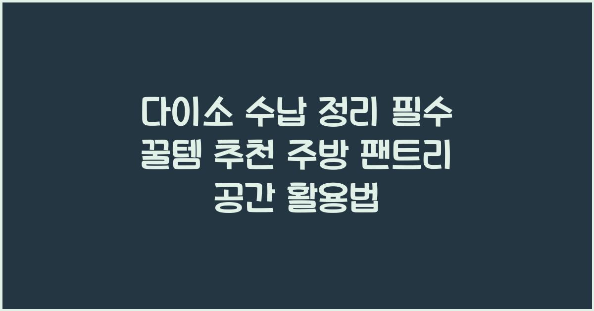 다이소 수납 정리