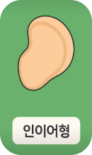 인이어형 보청기