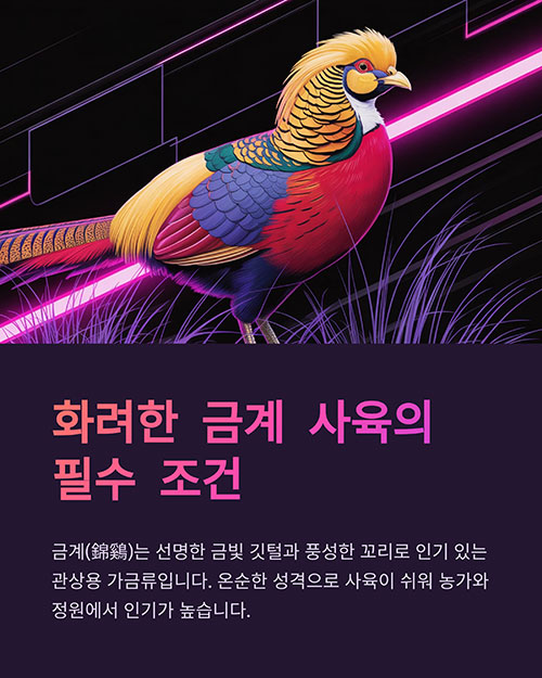 금계를 키우기 위한 필수 사육 조건