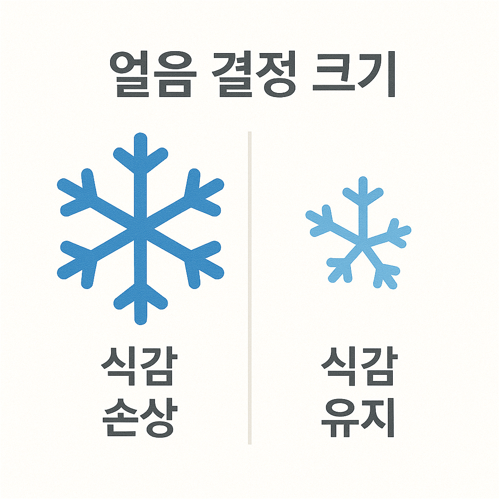 냉동 보관이 어려운 이유