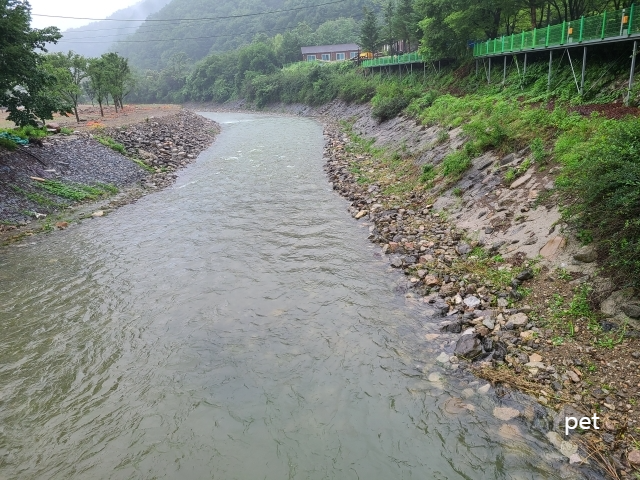 경기-연천-보물나라캠프-예약-방법-애견-동반-가격-주소-시간-후기