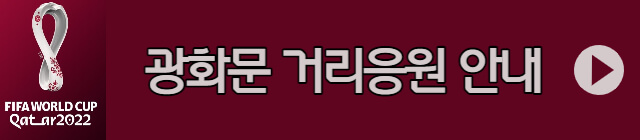 광화문-거리응원-안내