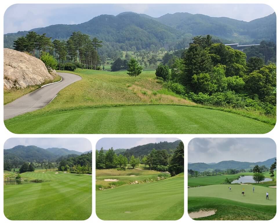 골프장 경험담 홍천 세이지우드cc 사람이 가장 쾌적함을 느끼는 해발 765m에서 경험하는 자연, 골프, 쉼