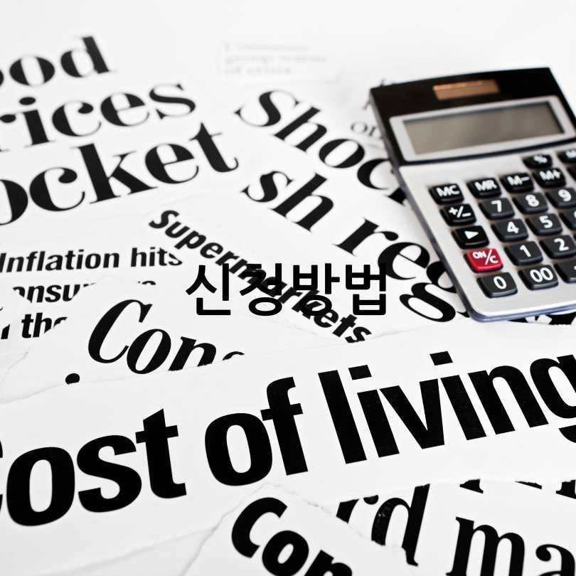 서울형 입원생활비 지원