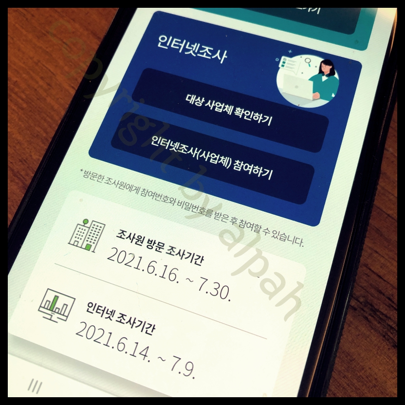 경제총조사 인터넷조사.jpg