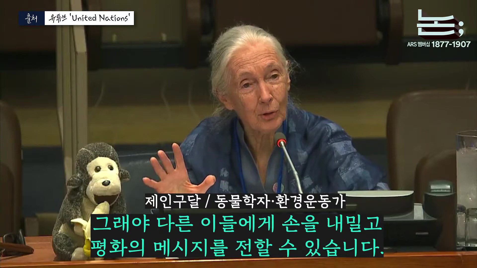 [정준희의 논] '제국의 위안부' 박유하와 '침팬지의 어머니' 제인 구달ㅣ2025년 10월 2일 목요일.mp4_20251006_195553.697.jpg