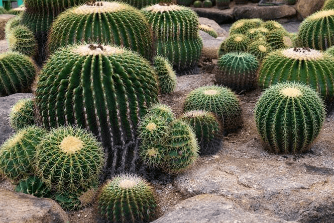 장마철-집안습기-제거방법