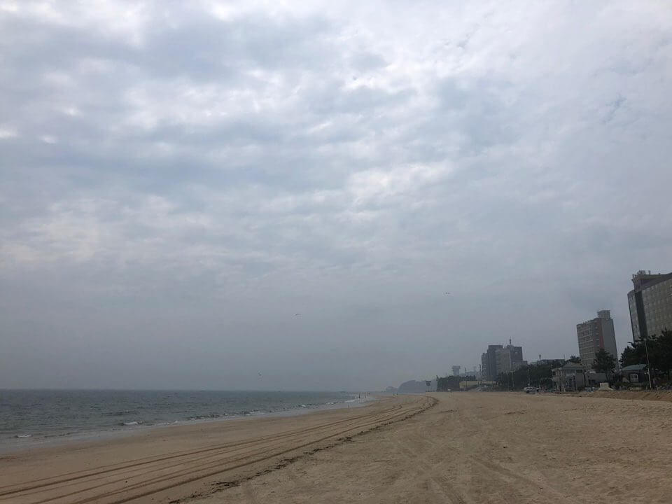 대천 짚라인 가격