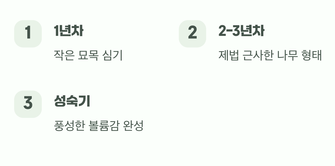 놀랍도록 빠른 성장 속도