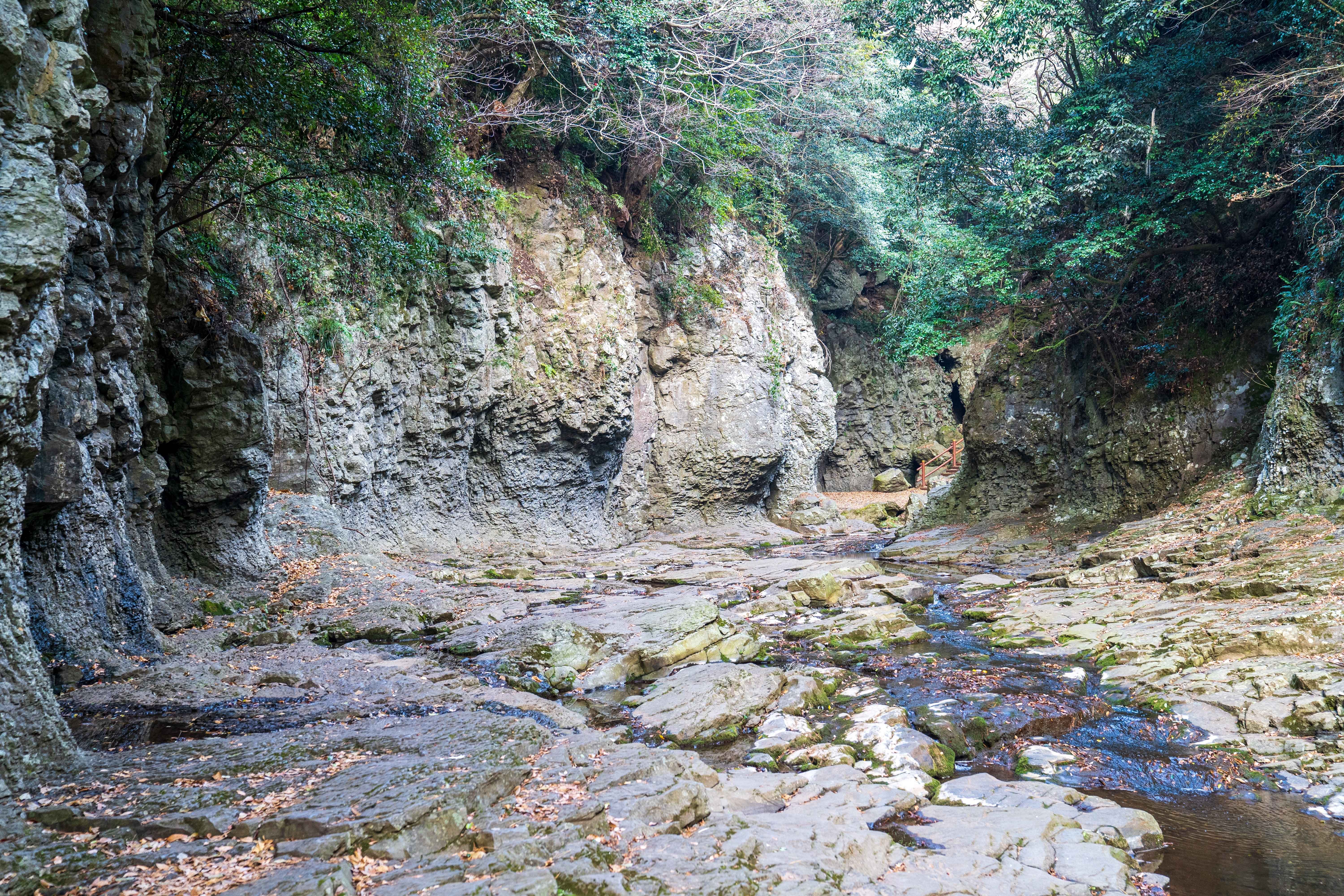 제주도 안덕계곡 사진