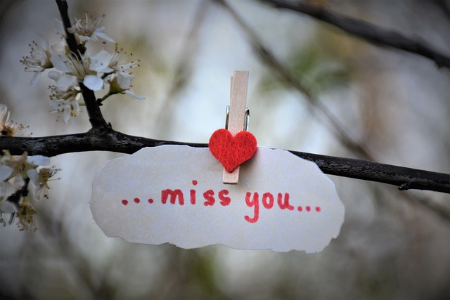 miss you, 보고싶어라고 적혀있는 사진