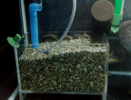 스펀지 여과기&amp;#44; 저면 여과기 차이점