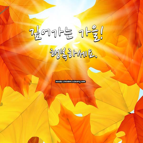 가을-안부인사-이미지