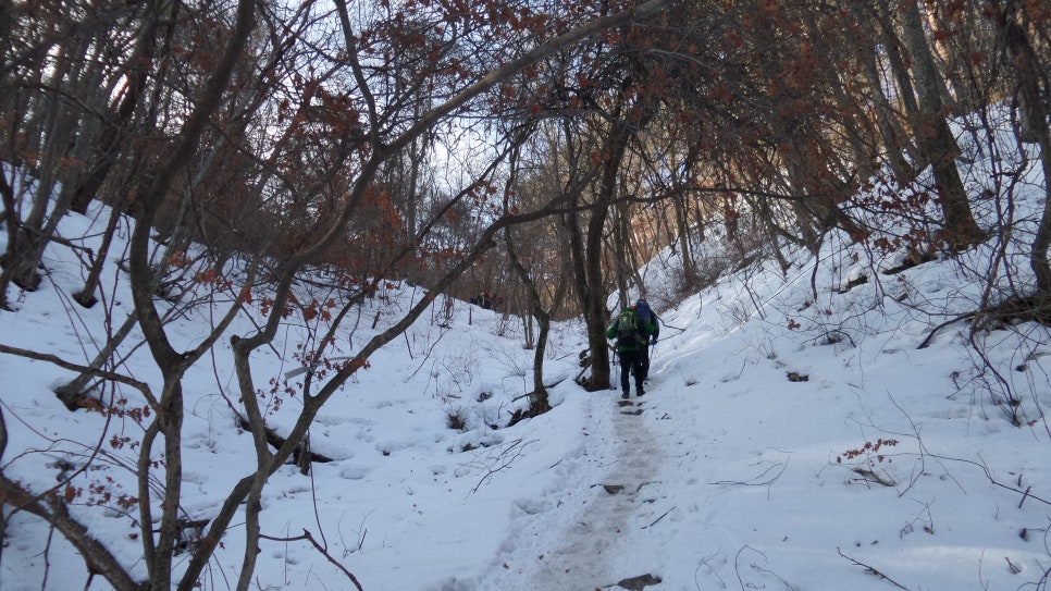 100대 명산 등산하기 열일곱번째 강원도 깊은 산의 청정함을 느끼는 힐링 트레킹