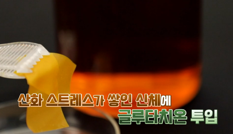 글루타치온 효능