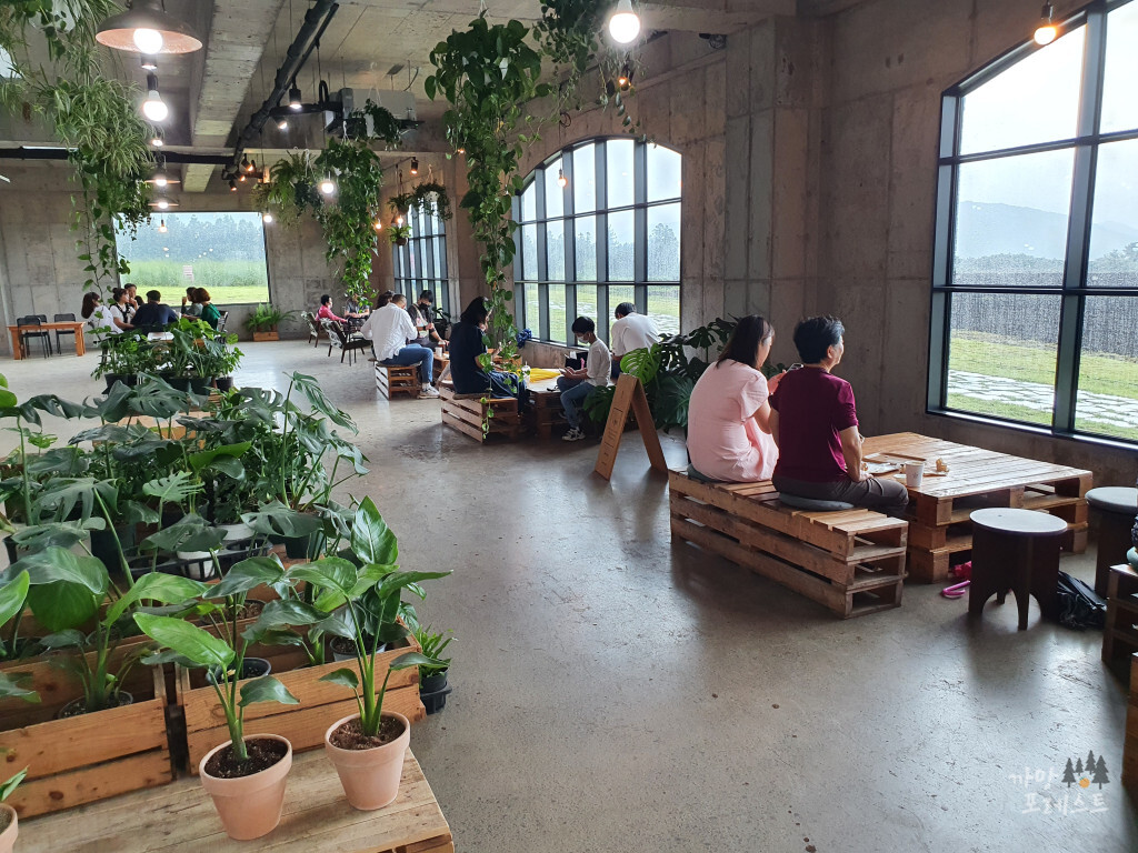 표선 보롬왓 실내 카페