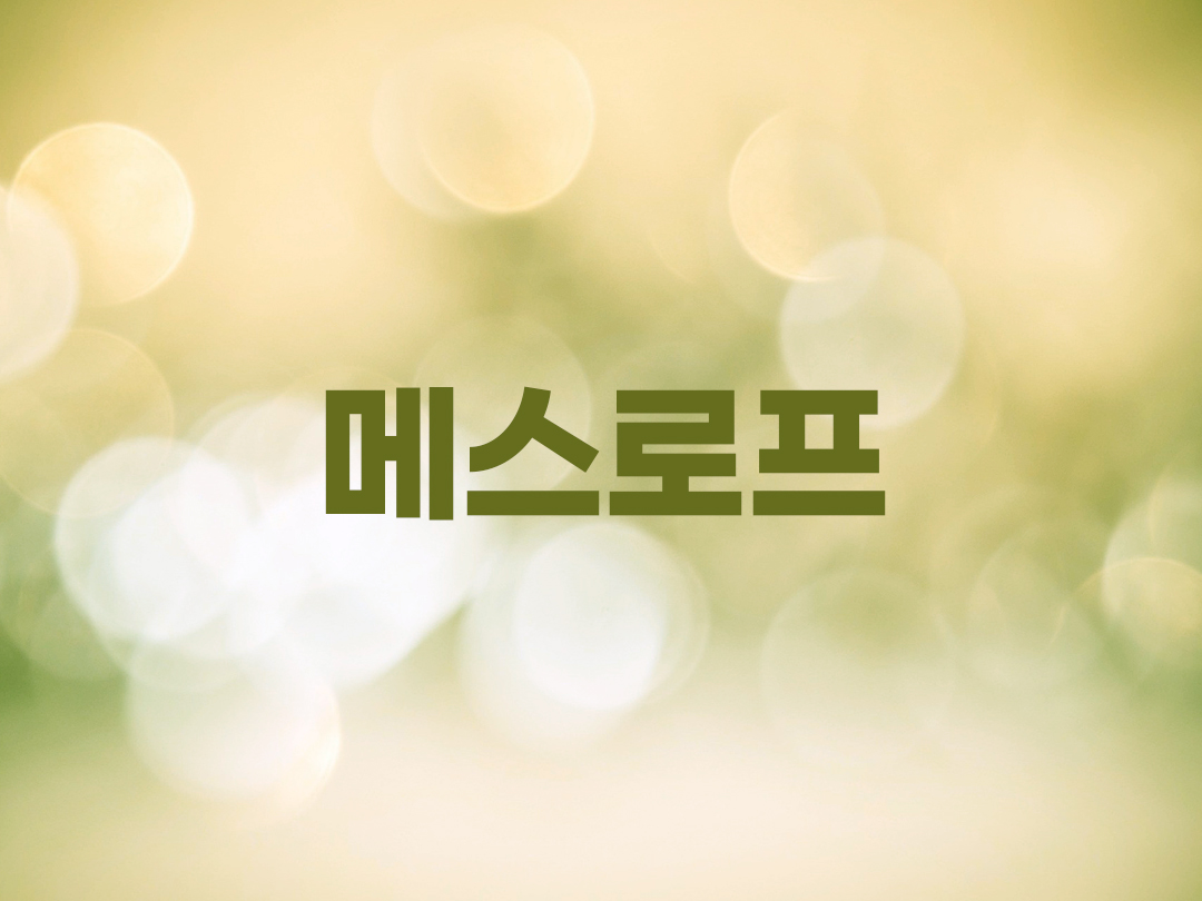 메스로프 천주교 남자세례명