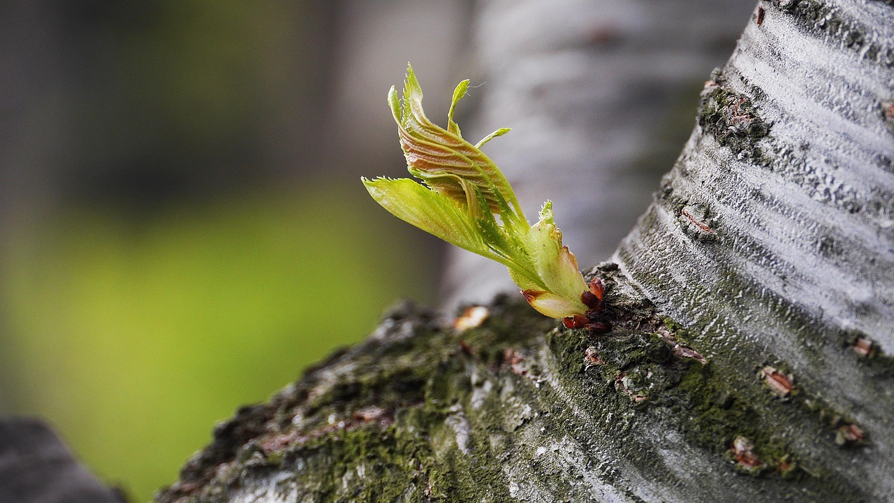 건강보험료 경감 신청 