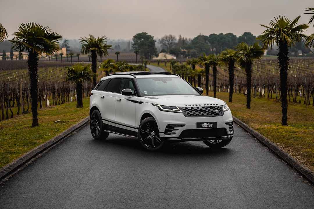 Velar