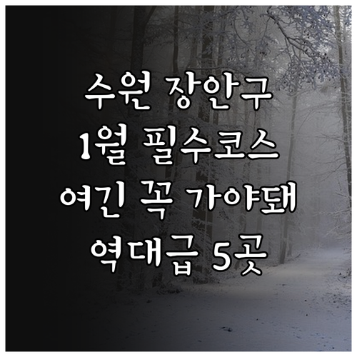 수원 장안구 1월 가볼만한곳 5곳과 ..