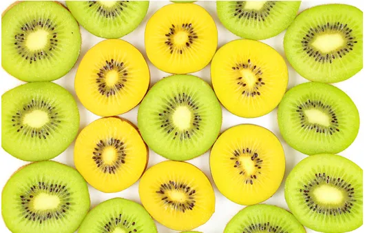 골드키위 효능 부작용_4