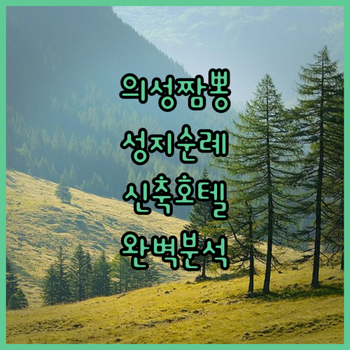경북 의성 천진중화요리 짬뽕 성지순례..