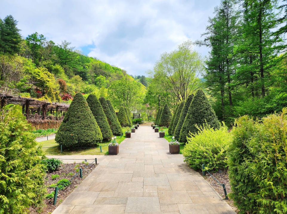 강원-제이드가든