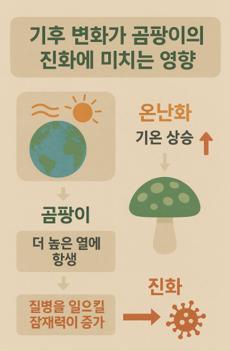 기후 변화가 곰팡이의 진화에 미치는 영향도 무시할 수 없습니다.