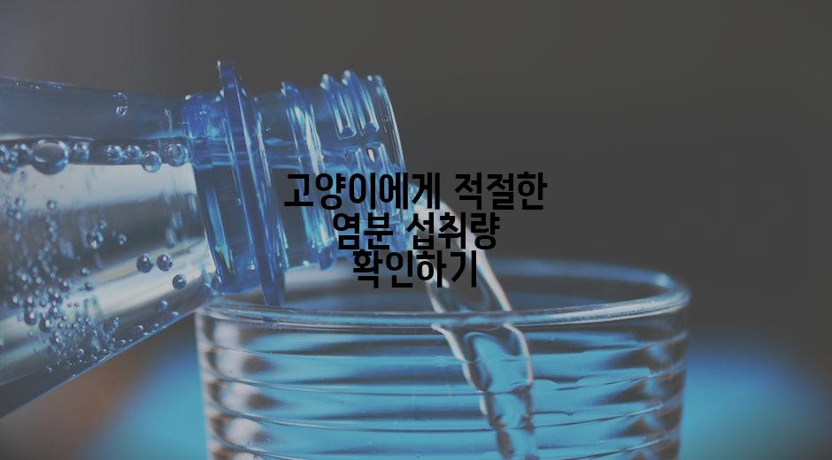 고양이에게 적절한 염분 섭취량 확인하기