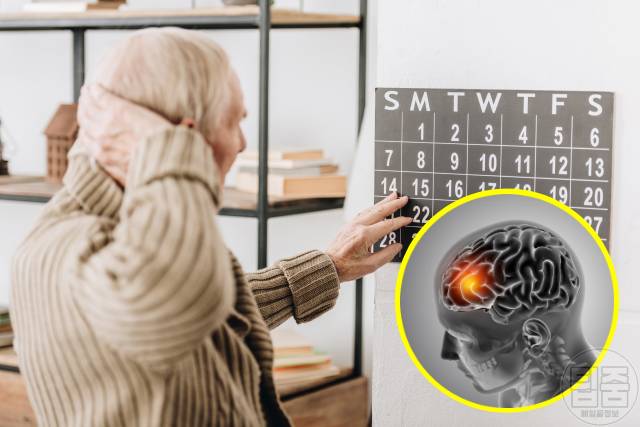 콜리플라워 맛있게 먹는법 콜린 효능