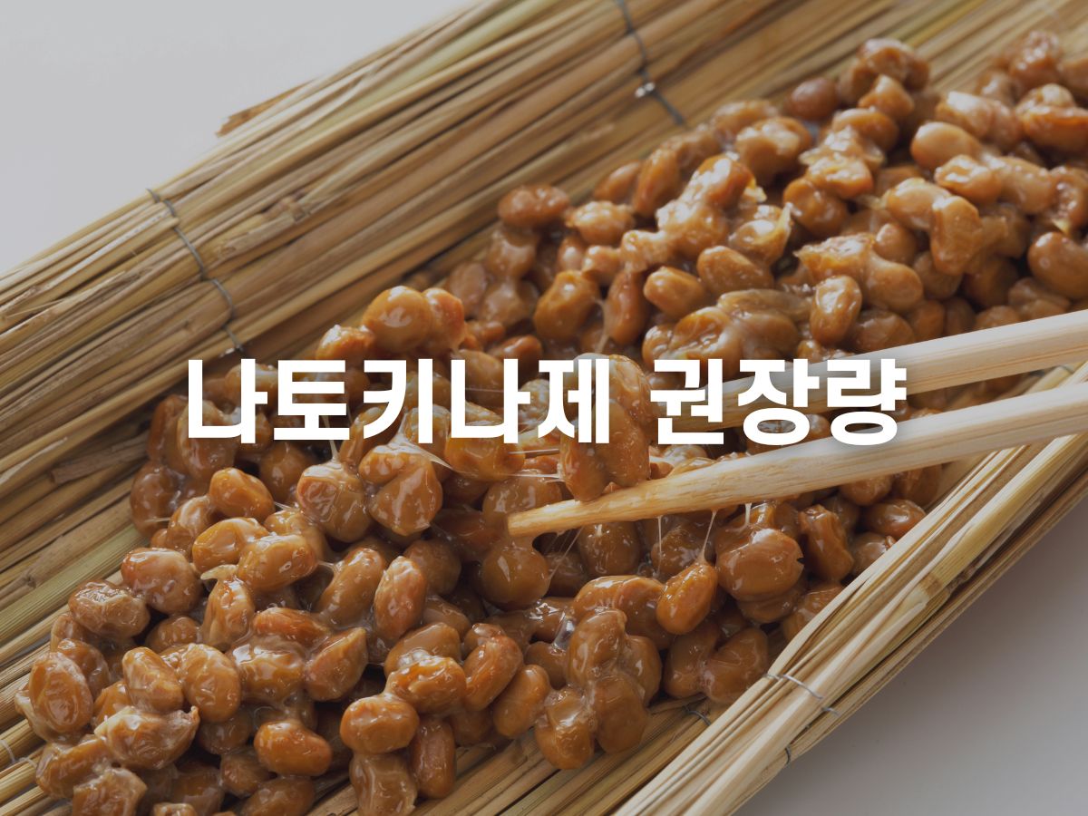 나토키나제 하루 권장량