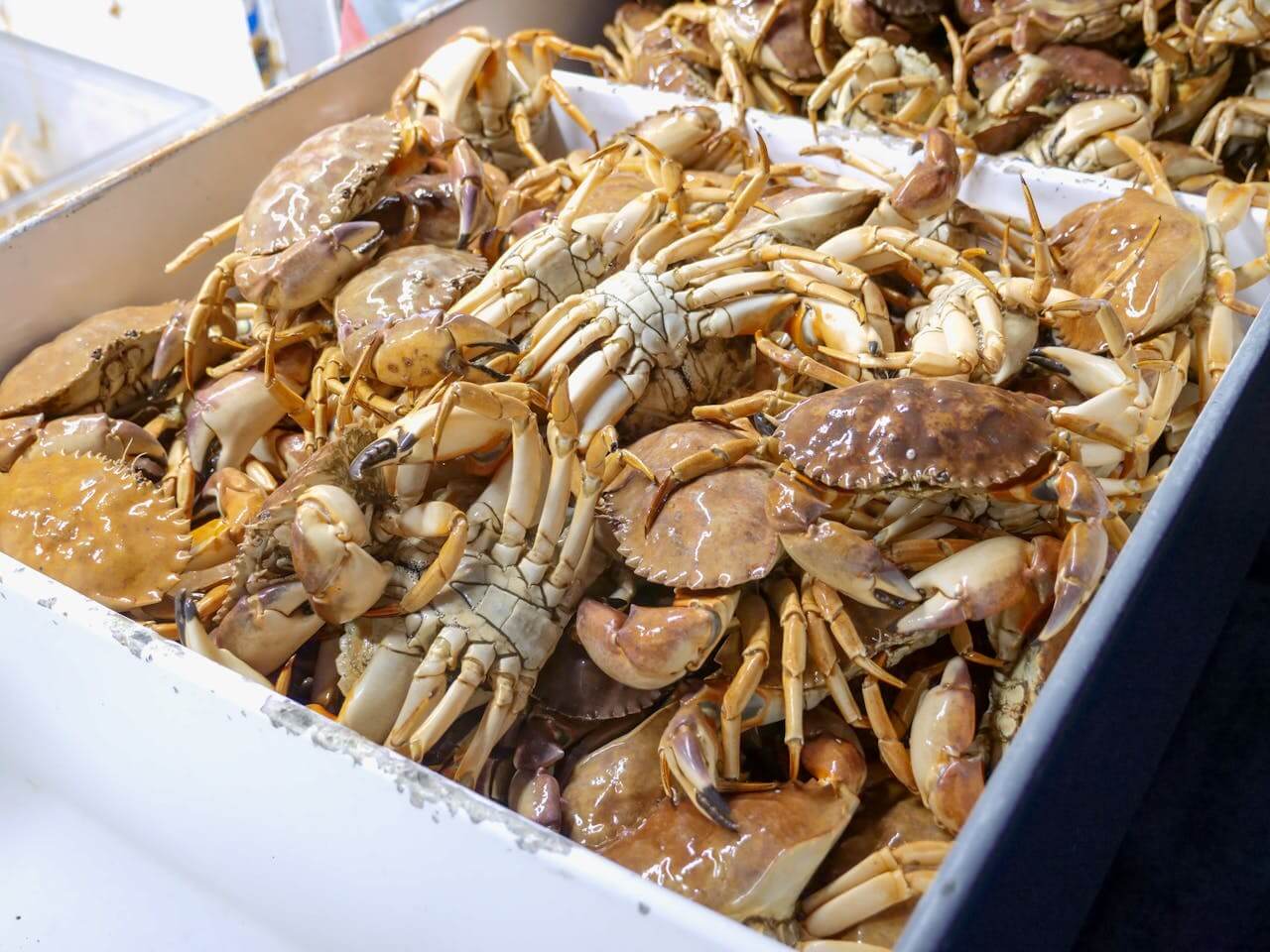봄 꽃게