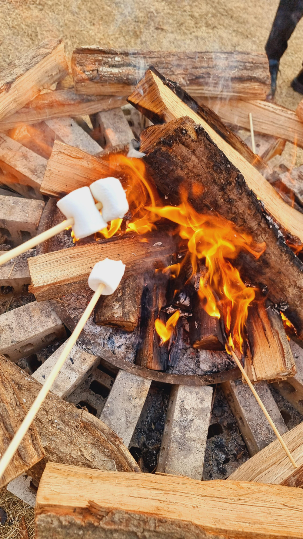 제천 빌라드 도화리 장작